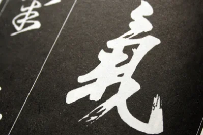 Blog_images_1_4c4a9cd8-1ef2-4cd5-bce1-6218c452f305_480x480